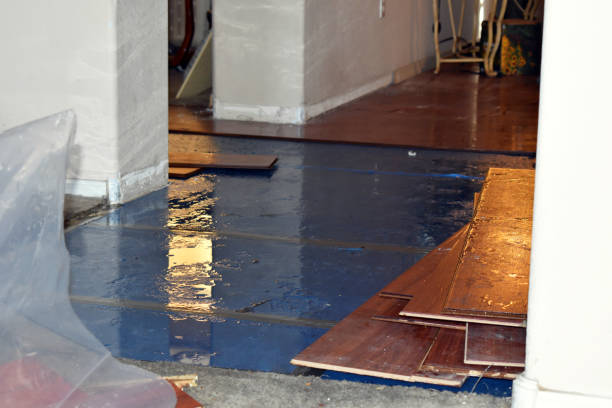Professional Sewage Cleanup technician working in North Street, MI